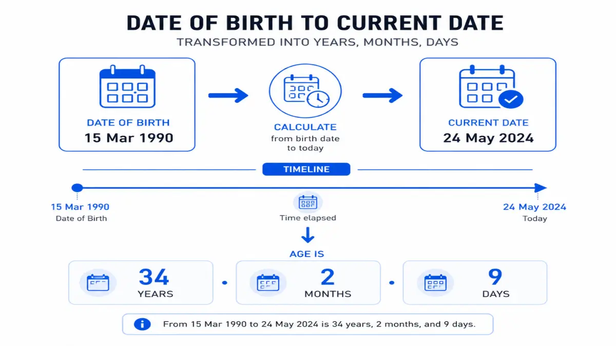 how chronological age calculator works timeline diagram